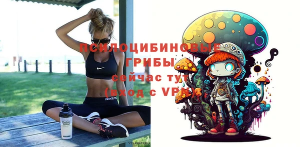 спайс Краснослободск