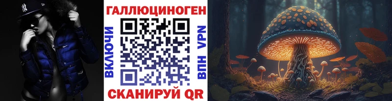 Купить закладки  Гремячинск  Псилоцибиновые грибы MAGIC MUSHROOMS 