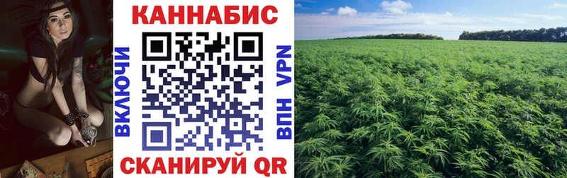 Канабис индика  Купить где  Гремячинск 